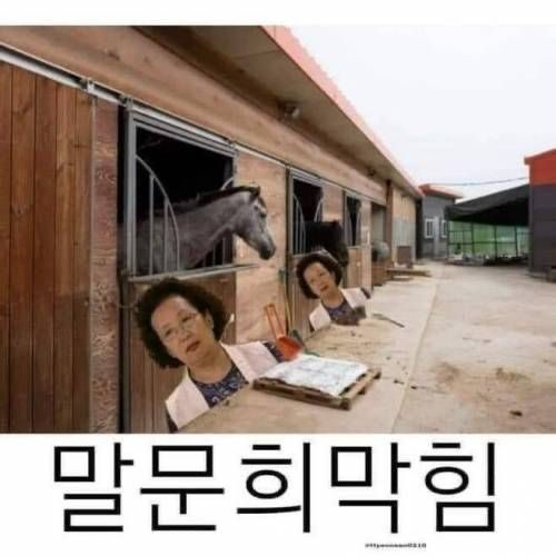 언어 공부는 한 가지 방법만으로는 안 된다는 것을 보여주는 그림