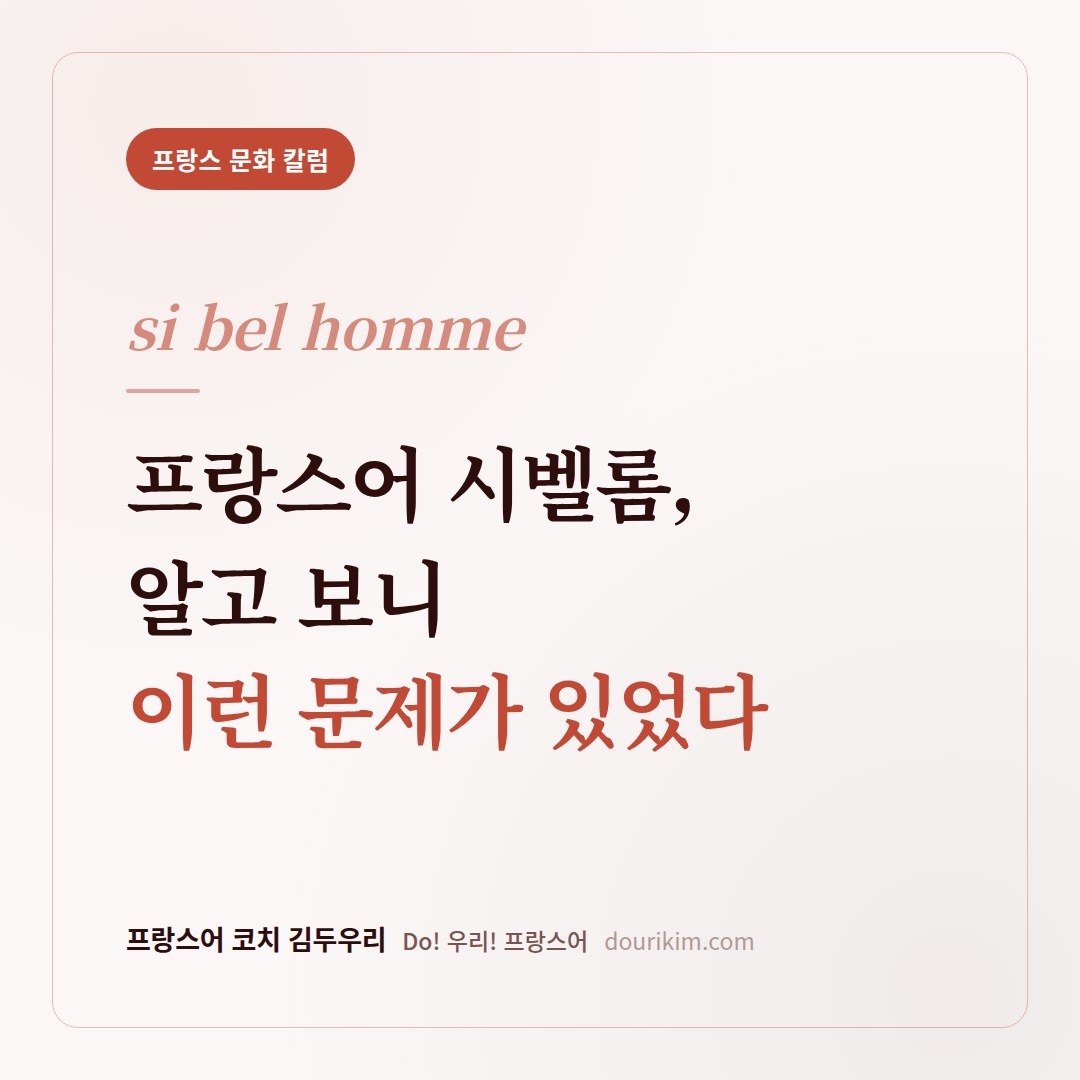 프랑스어 시벨롬, 알고 보니 이런 문제가 있었다
